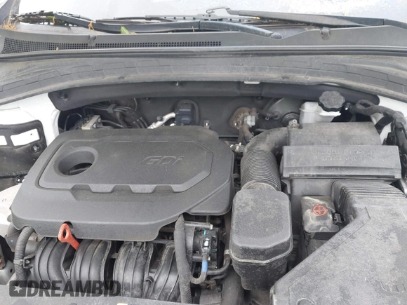 2019 Hyundai Santa Fe SE with VIN 5NMS2CAD9KH117777, listed as a IAAI auction lot 42296811 with 82,188 mi miles and . Bid and sale history available at DreamBid. Image 10.