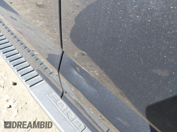 2018 Ford F-150 XL with VIN 1FTEW1C50JFD23545, listed as a IAAI auction lot 41838209 with 129,906 mi miles and . Bid and sale history available at DreamBid. Image 18.