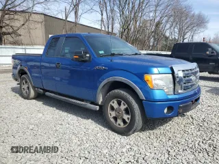 2009 Ford F-150 XL with VIN 1FTPX14V69KB51531, listed as a Copart auction lot 48141785 with 168,276 mi miles and Clean Title. Bid and sale history available at carsss.com. Image 4.