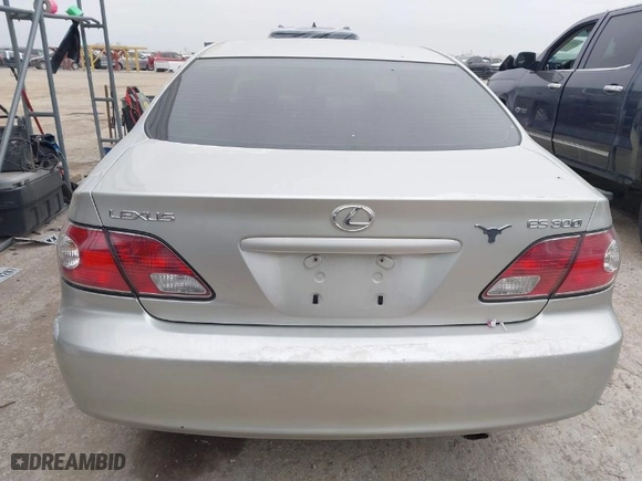 2002 Lexus ES 300 with VIN JTHBF30G625017329, listed as a IAAI auction lot 41533562 with NaN miles. Bid and sale history available at carsss.com. Image 16.