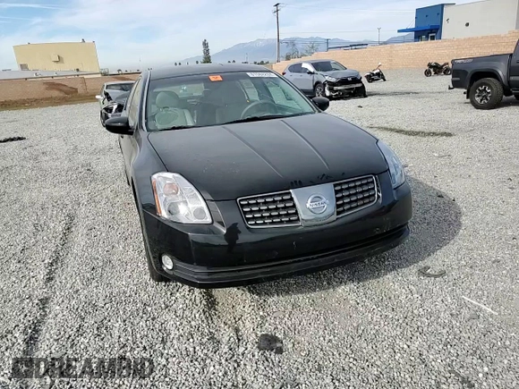 2004 Nissan Maxima SL with VIN 1N4BA41E24C924280, listed as a Copart auction lot 81564284 with 30,679 mi miles and Salvage Title. Bid and sale history available at DreamBid. Image 11.