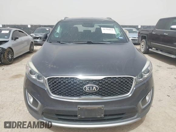2017 Kia Sorento EX V6 with VIN 5XYPH4A5XHG290228, listed as a IAAI auction lot 41791814 with 73,185 mi miles. Bid and sale history available at carsss.com. Image 13.