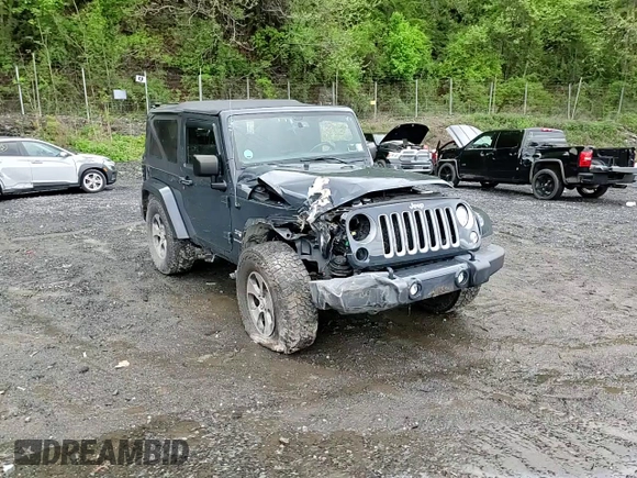 2017 Jeep Wrangler Sahara with VIN 1C4AJWBG5HL585280, listed as a Copart auction lot 54703555 with Not provided miles and Salvage title. Bid and sale history available at DreamBid. Image 13.