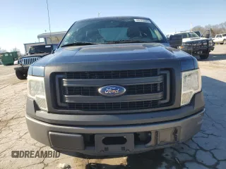 2013 Ford F-150 XL with VIN 1FTMF1CM9DKD34252, listed as a Copart auction lot 49175385 with 215,746 mi miles and Salvage Title. Bid and sale history available at carsss.com. Image 5.
