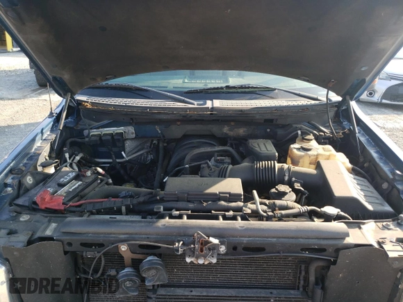 2010 Ford F-150 XL with VIN 1FTEX1E86AKB83433, listed as a Copart auction lot 64221855 with 294,443 mi miles and Salvage title. Bid and sale history available at DreamBid. Image 11.