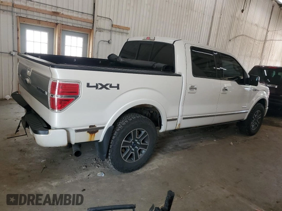 2012 Ford F-150 XL with VIN 1FTFW1ET3CFC99003, listed as a Copart auction lot 60062875 with 182,171 mi miles and Salvage title. Bid and sale history available at DreamBid. Image 3.