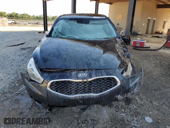 2014 Kia Cadenza Premium with VIN KNALN4D75E5163201, listed as a Copart auction lot 61553824 with 133,490 mi miles and Salvage Title. Bid and sale history available at carsss.com. Image 5.