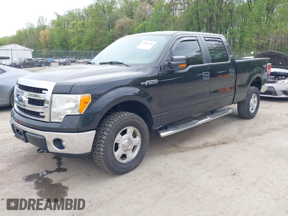 2013 Ford F-150 XL with VIN 1FTFW1EF0DFC53186, listed as a IAAI auction lot 42086254 with 172,075 mi miles. Bid and sale history available at carsss.com. Image 17.