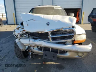 2001 Dodge Durango with VIN 1B4HS28N31F614755, listed as a Copart auction lot 88548415 with 235,906 mi miles and Salvage Title. Bid and sale history available at DreamBid. Image 5.