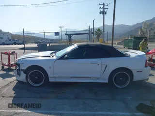 2000 Ford Mustang with VIN 1FAFP4441YF251618, listed as a IAAI auction lot 42439813 with 197,178 mi miles and . Bid and sale history available at DreamBid. Image 14.
