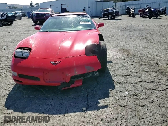 1999 Chevrolet Corvette with VIN 1G1YY22G0X5106665, listed as a Copart auction lot 73056054 with 133,024 mi miles and Salvage Title. Bid and sale history available at carsss.com. Image 10.