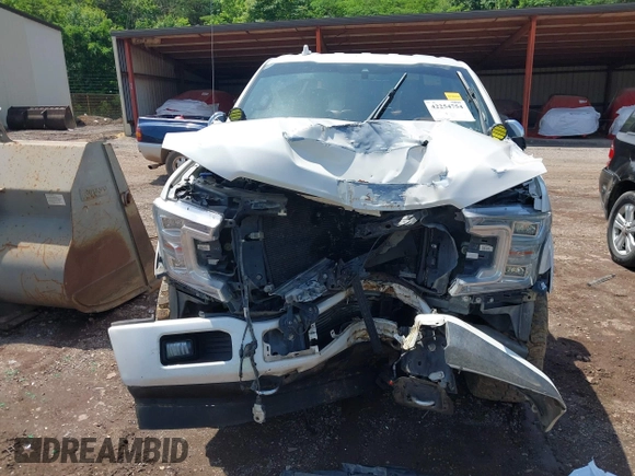2018 Ford F-150 XL with VIN 1FTEW1EG9JFD28161, listed as a IAAI auction lot 42254754 with 122,769 mi miles and . Bid and sale history available at DreamBid. Image 11.
