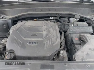 2020 Kia Telluride SX with VIN 5XYP5DHC9LG028738, listed as a IAAI auction lot 41577464 with 123,455 mi miles and . Bid and sale history available at DreamBid. Image 10.
