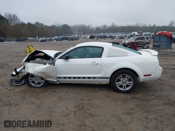 2005 Ford Mustang Deluxe with VIN 1ZVFT80N455211561, listed as a IAAI auction lot 41548177 with Not Provided miles. Bid and sale history available at carsss.com. Image 13.