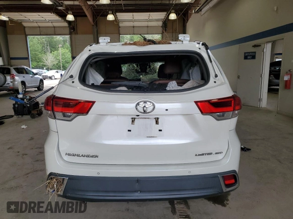 2019 Toyota Highlander Limited with VIN 5TDDZRFH6KS968533, listed as a Copart auction lot 64466135 with Not provided miles and Salvage title. Bid and sale history available at DreamBid. Image 6.