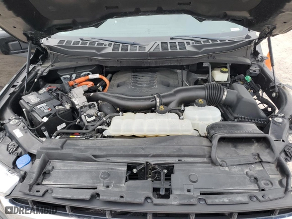 2022 Ford F-150 XL with VIN 1FTFW1ED9NFB19003, listed as a Copart auction lot 46507405 with 22,855 mi miles and Salvage Title. Bid and sale history available at carsss.com. Image 11.