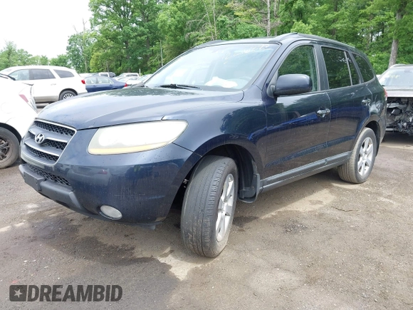 2009 Hyundai Santa Fe SE with VIN 5NMSH73E39H273478, listed as a IAAI auction lot 42216820 with 196,233 mi miles and . Bid and sale history available at DreamBid. Image 2.