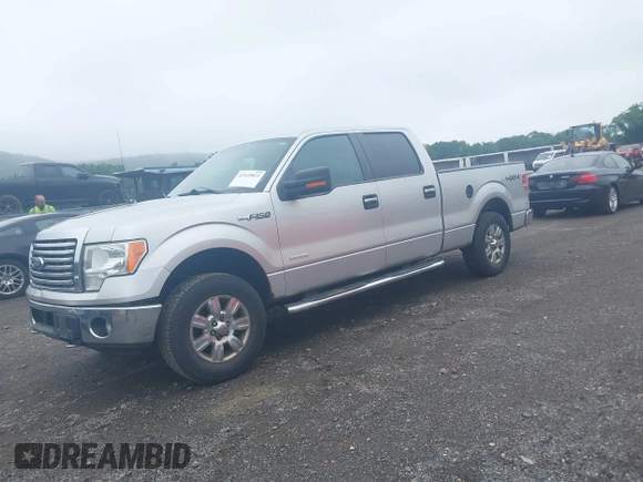 2012 Ford F-150 XL with VIN 1FTFW1ET4CFC15111, listed as a IAAI auction lot 42525823 with Not provided miles and . Bid and sale history available at DreamBid. Image 2.