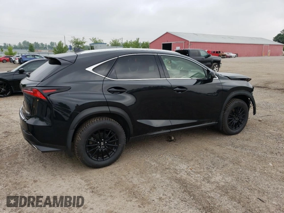 2021 Lexus NX 300 with VIN JTJGARDZ1M2256342, listed as a Copart auction lot 58736975 with 53,085 mi miles and Clean title. Bid and sale history available at DreamBid. Image 3.