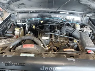 1998 Jeep Cherokee Sport with VIN 1J4FJ68SXWL281659, listed as a IAAI auction lot 42208563 with 203,992 mi miles and . Bid and sale history available at DreamBid. Image 10.