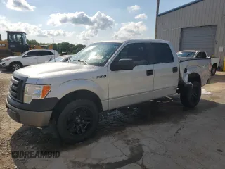 2009 Ford F-150 XL with VIN 1FTRW12WX9FB19889, listed as a Copart auction lot 60272775 with 155,783 mi miles and Salvage title. Bid and sale history available at DreamBid. Image 1.