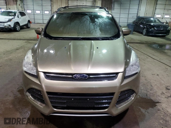 2014 Ford Escape SE with VIN 1FMCU9GX1EUB35069, listed as a Copart auction lot 49408545 with 0 mi miles and Clean Title. Bid and sale history available at carsss.com. Image 5.