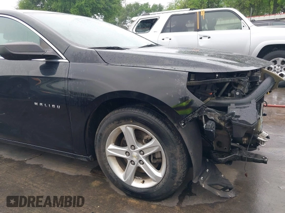 2019 Chevrolet Malibu LS with VIN 1G1ZB5ST1KF179471, listed as a IAAI auction lot 41945879 with 141,498 mi miles and . Bid and sale history available at DreamBid. Image 18.