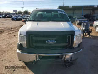 2013 Ford F-150 XL with VIN 1FTNF1EF0DKE66786, listed as a Copart auction lot 79118294 with 186,461 mi miles and Clean title. Bid and sale history available at DreamBid. Image 5.