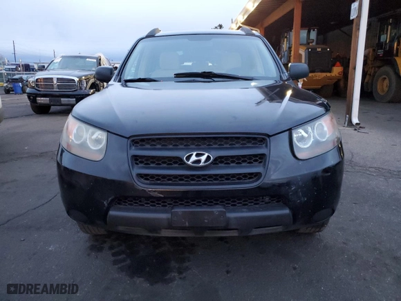 2009 Hyundai Santa Fe GLS with VIN 5NMSG13D29H275200, listed as a Copart auction lot 49262185 with 173,134 mi miles and Salvage Title. Bid and sale history available at carsss.com. Image 5.