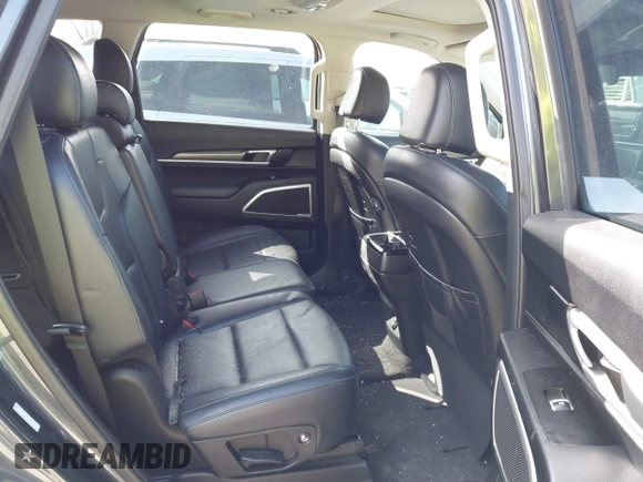 2020 Kia Telluride S with VIN 5XYP64HC9LG006929, listed as a IAAI auction lot 41829776 with 76,020 mi miles and . Bid and sale history available at DreamBid. Image 8.