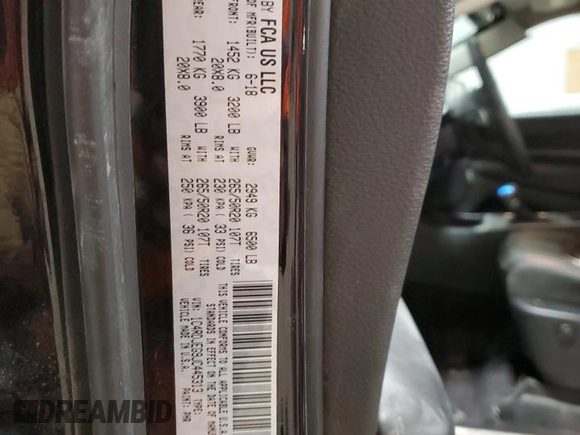 2018 Dodge Durango Citadel with VIN 1C4RDJEG9JC445313, listed as a Copart auction lot 44143445 with 82,752 mi miles and Salvage title. Bid and sale history available at DreamBid. Image 13.