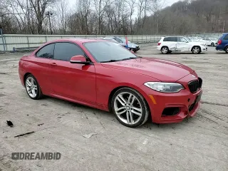 2014 BMW 2 Series 228i with VIN WBA1F5C5XEVW97921, listed as a Copart auction lot 44850825 with 120,173 mi miles and Salvage title. Bid and sale history available at DreamBid. Image 10.