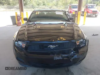 2011 Ford Mustang V6 с VIN 1ZVBP8AM6B5105584, выставлен на аукционе IAAI как лот 42686108 с пробегом 143 296 миль миль и . История ставок и продаж доступна на DreamBid. Изображение 12.
