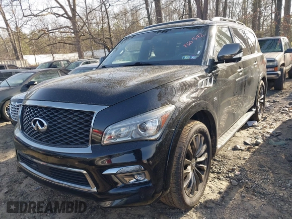 2017 Infiniti QX80 with VIN JN8AZ2NE8H9150542, listed as a IAAI auction lot 41810110 with 112,328 mi miles and . Bid and sale history available at DreamBid. Image 17.