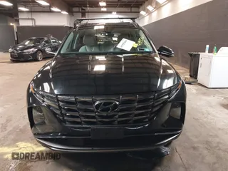 2024 Hyundai Tucson Limited with VIN 5NMJECDE5RH303897, listed as a IAAI auction lot 41955684 with 17,279 mi miles. Bid and sale history available at carsss.com. Image 13.