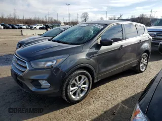 2017 Ford Escape SE with VIN 1FMCU0GDXHUE10346, listed as a Copart auction lot 43651645 with 192,805 mi miles and Clean Title. Bid and sale history available at carsss.com. Image 1.