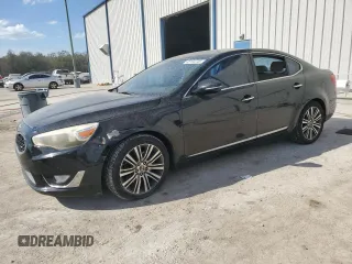2014 Kia Cadenza Premium with VIN KNALN4D79E5120531, listed as a Copart auction lot 45104745 with Not Provided miles and Salvage Title. Bid and sale history available at DreamBid. Image 1.