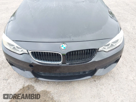 2015 BMW 4 Series 428i with VIN WBA3N3C55FK232319, listed as a IAAI auction lot 42136421 with 140,300 mi miles and . Bid and sale history available at DreamBid. Image 6.