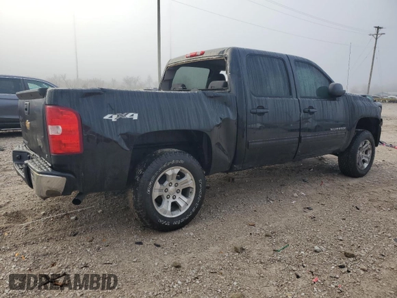 2013 Chevrolet Silverado 1500 LT with VIN 3GCPKSEA3DG109575, listed as a Copart auction lot 80770444 with 202,824 mi miles and Salvage Title. Bid and sale history available at DreamBid. Image 3.