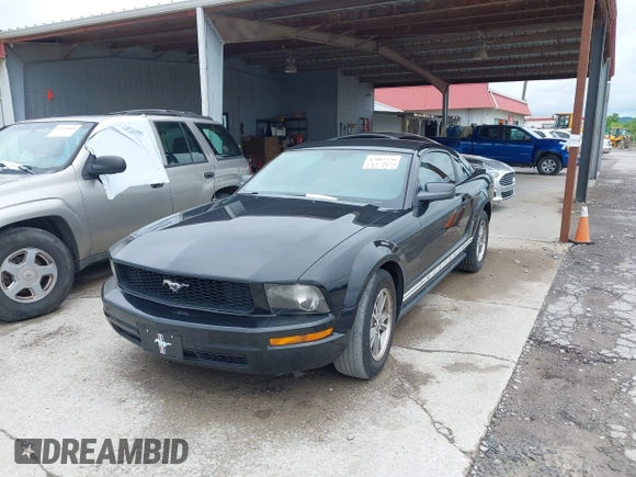 2005 Ford Mustang Deluxe with VIN 1ZVFT80N855159738, listed as a IAAI auction lot 42063276 with 214,063 mi miles. Bid and sale history available at carsss.com. Image 6.