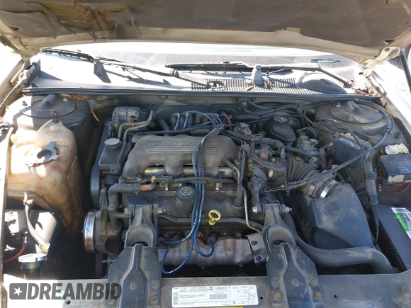 1998 Chevrolet Lumina with VIN 2G1WL52M1W9257545, listed as a IAAI auction lot 41707606 with 218,588 mi miles and . Bid and sale history available at DreamBid. Image 10.