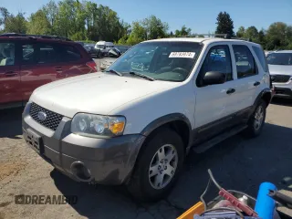 2005 Ford Escape XLT with VIN 1FMYU93135KA59180, listed as a Copart auction lot 69783974 with 126,255 mi miles and Salvage Title. Bid and sale history available at carsss.com. Image 1.
