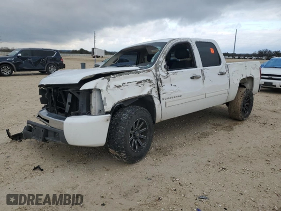2009 Chevrolet Silverado 1500 LT with VIN 2GCEC23C191139697, listed as a Copart auction lot 88074455 with 243,119 mi miles and Salvage Title. Bid and sale history available at carsss.com. Image 1.