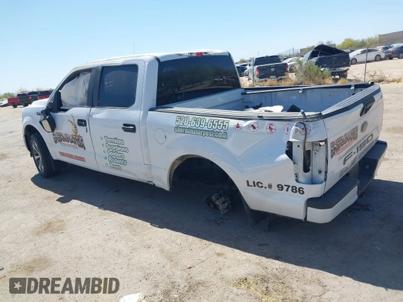 2020 Ford F-150 XL with VIN 1FTEW1EP9LKE79673, listed as a IAAI auction lot 42164533 with Not provided miles and . Bid and sale history available at DreamBid. Image 3.