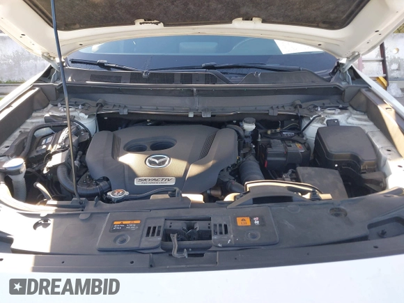 2019 Mazda CX-9 Sport с VIN JM3TCABY9K0309019, выставлен на аукционе IAAI как лот 41703012 с пробегом 64 390 миль миль и . История ставок и продаж доступна на DreamBid. Изображение 10.