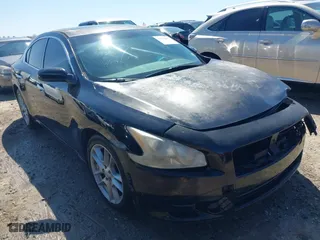 2009 Nissan Maxima 3.5 SV w/Sport Pkg with VIN 1N4AA51E79C859905, listed as a IAAI auction lot 41972817 with 157,263 mi miles. Bid and sale history available at carsss.com. Image 1.