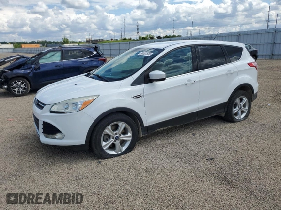 2013 Ford Escape SE with VIN 1FMCU9G96DUD66971, listed as a Copart auction lot 58507505 with 135,866 mi miles and Salvage title. Bid and sale history available at DreamBid. Image 1.