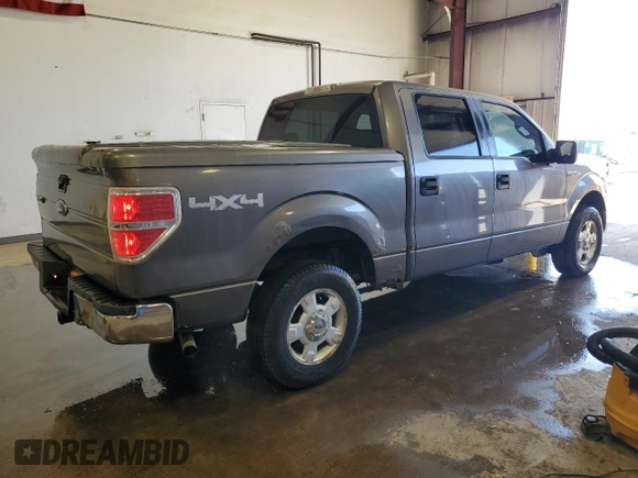 2009 Ford F-150 XL with VIN 1FTRW14879FB39001, listed as a Copart auction lot 53269955 with 123,871 mi miles and Clean Title. Bid and sale history available at carsss.com. Image 3.