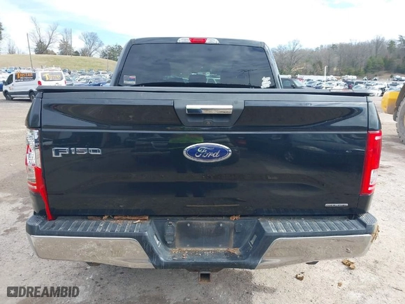 2015 Ford F-150 XLT with VIN 1FTEW1E83FFB17943, listed as a IAAI auction lot 41560117 with 117,024 mi miles. Bid and sale history available at carsss.com. Image 16.