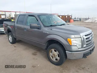2009 Ford F-150 XL with VIN 1FTPW14V99KC52405, listed as a IAAI auction lot 41510394 with 166,245 mi miles. Bid and sale history available at carsss.com. Image 1.